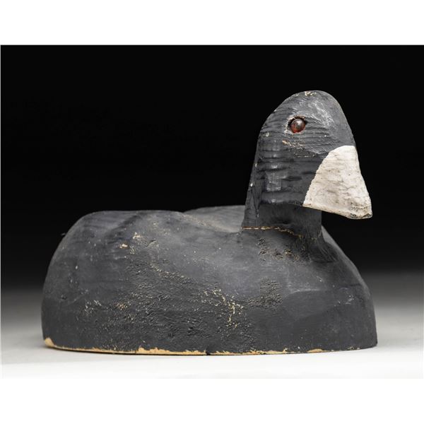 UNSIGNED AMERICAN COOT "MUD HEN" DECOY.