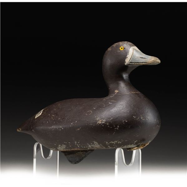 UNSIGNED BLUE BILL DUCK DECOY.