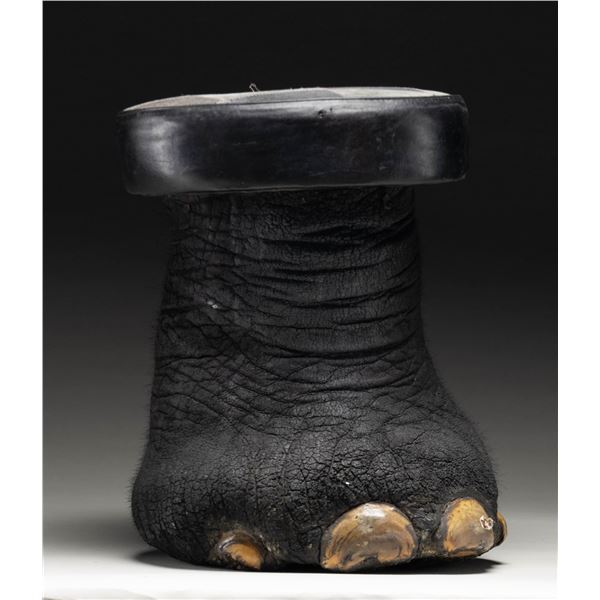 REAL ELEPHANT FOOT MADE INTO A STOOL.