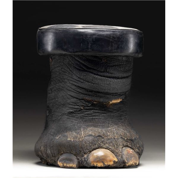 REAL ELEPHANT FOOT MADE INTO A STOOL.