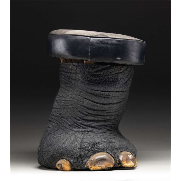 REAL ELEPHANT FOOT MADE INTO A STOOL.