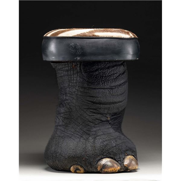REAL ELEPHANT FOOT MADE INTO A STOOL.