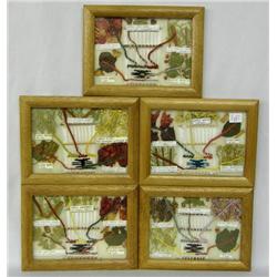 5 Framed Navajo Small Dye Charts by Rose Washburn