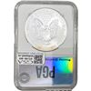 Image 2 : 1998 Silver Eagle