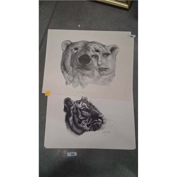 Approx 10 large Catherine White prints