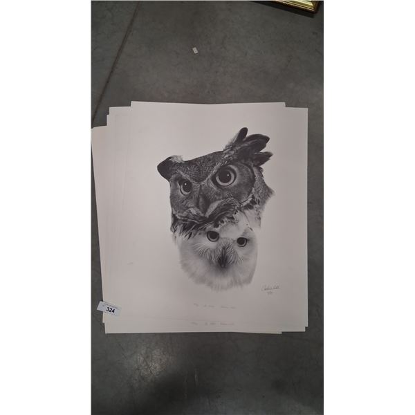 Approx 10 large Catherine White prints