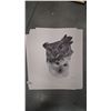 Image 1 : Approx 10 large Catherine White prints