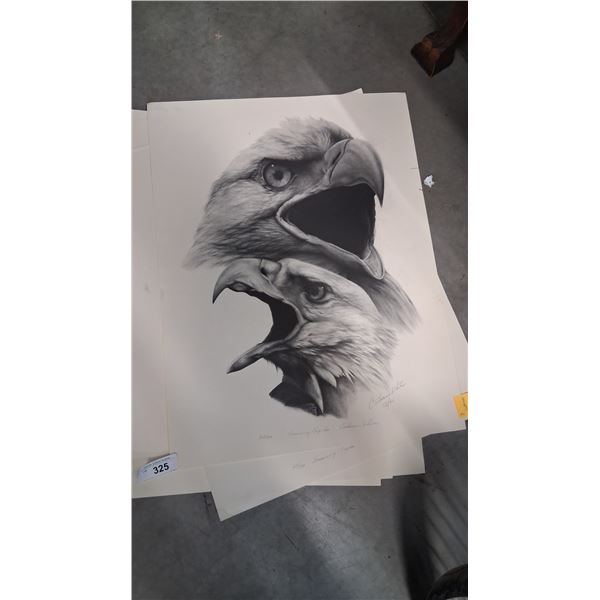 Approx 10 large Catherine White prints