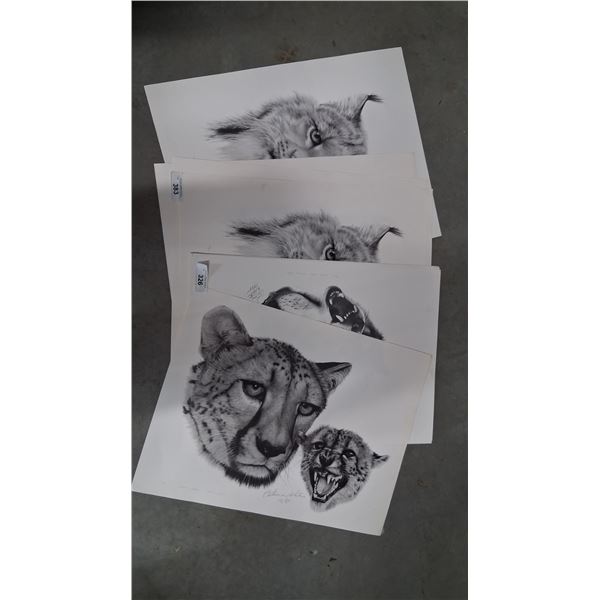 Approx 4 large Catherine White prints