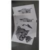 Image 1 : Approx 4 large Catherine White prints