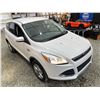 Image 10 : PARKSVILLE - 2013 FORD ESCAPE WHITE 134039 KMS - DC64344