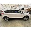 Image 11 : PARKSVILLE - 2013 FORD ESCAPE WHITE 134039 KMS - DC64344