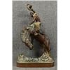 Image 1 : BRONZE (ARMOR BRONZE)