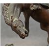 Image 9 : BRONZE (ARMOR BRONZE)