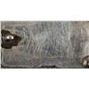 Image 4 : THREE BELT BUCKLES