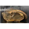 Image 10 : PRE-COLUMBIAN POTTERY FIGURE