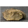 Image 4 : PRE-COLUMBIAN POTTERY FIGURE