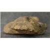 Image 6 : PRE-COLUMBIAN POTTERY FIGURE