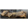 Image 9 : PRE-COLUMBIAN POTTERY FIGURE