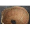 Image 10 : ANASAZI POTTERY BOWL