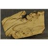 Image 6 : WOOD CARVING (LAWRENCE PACHECO)