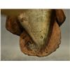 Image 7 : WOOD CARVING (LAWRENCE PACHECO)