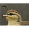Image 8 : WOOD CARVING (LAWRENCE PACHECO)