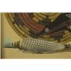 Image 5 : NAVAJO SAND PAINTING (H. R. BEGAY "WAREAGLE)