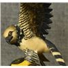 Image 11 : WOUNAAN TAGUA NUT CARVINGS