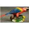 Image 17 : WOUNAAN TAGUA NUT CARVINGS