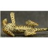 Image 6 : WOUNAAN TAGUA NUT CARVINGS