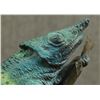 Image 8 : WESTERN BRONZE (TOM KNAPP)
