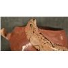 Image 7 : MARICOPA POTTERY BOWL