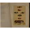 Image 13 : THREE BUREAU OF ETHNOLOGY BOOKS (J.W. POWELL)