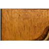 Image 8 : WESTERN WOOD CARVING (DEE FLAGG)