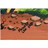 Image 2 : NAVAJO PAINTING (FRANK LEE JOE)