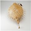 Image 4 : Taxidermy Inflated Porcupine Pufferfish Specimen