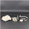 Image 2 : 7pc Natural White Coral Specimen Collection