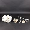 Image 3 : 7pc Natural White Coral Specimen Collection