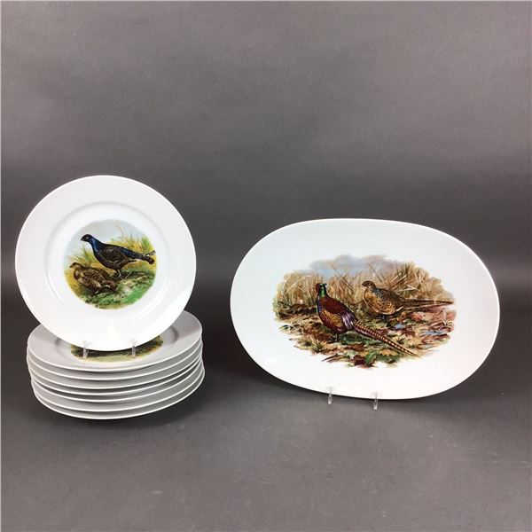 Nine Kuba Porzellan Bavaria Game Bird Plates and Platter Set