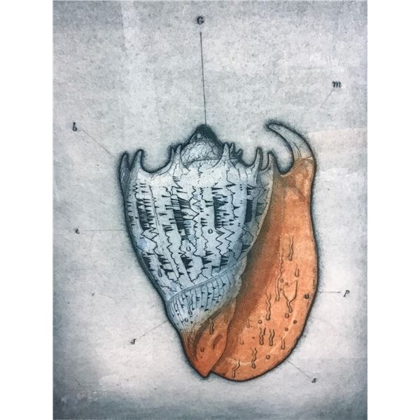 Tighe O'Donoghue, 'Seashore claw' (Signed)
