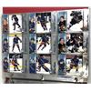 Image 2 : 1997-98 OMEGA Hockey FULL Set - 1-250 w/ Pages & Binder