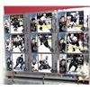 Image 3 : 1997-98 OMEGA Hockey FULL Set - 1-250 w/ Pages & Binder