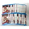 Image 1 : Patrick Roy 1989-90 OPC LOT x90