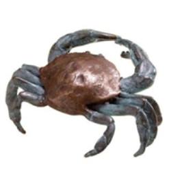Dungeness Crab