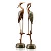 Image 1 : Wetlands Heron Pair