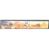 Image 21 : Winchester John Wayne Commemorative Lever Action Rifle c/w Wood Case