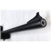 Image 5 : Remingtron 597 Semi Auto 22 lr c/wScope & Extra 25rd Magazine PLUS