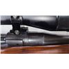 Image 7 : P14 Enfield Sporter Bolt Action Rifle 303 British c/w Bushnell Scope