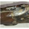 Image 10 : Springfield Single Shot 12 ga Shotgun - PROJECT Gun
